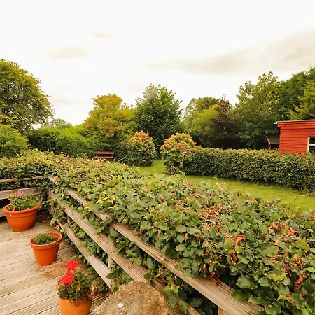 The Holiday home